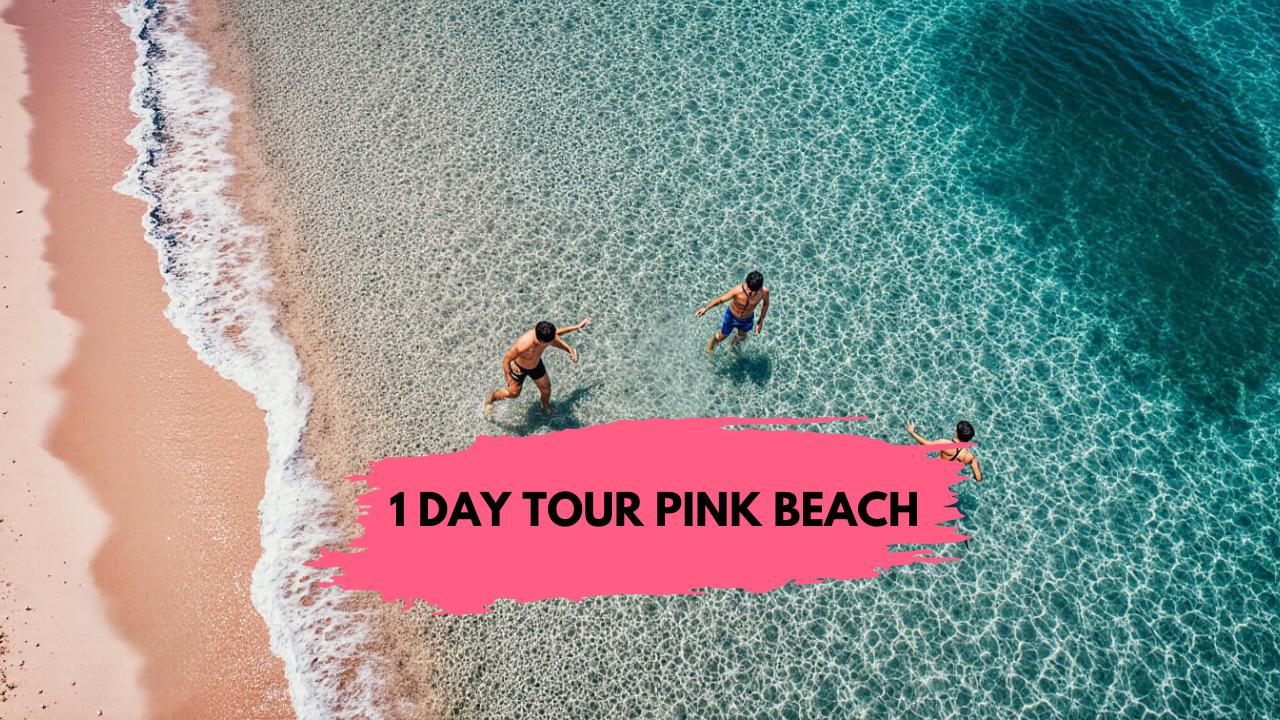 TOUR LOMBOK PINK BEACH 1 DAY