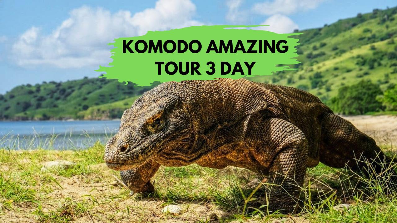 Komodo Amazing Tour 3 Day