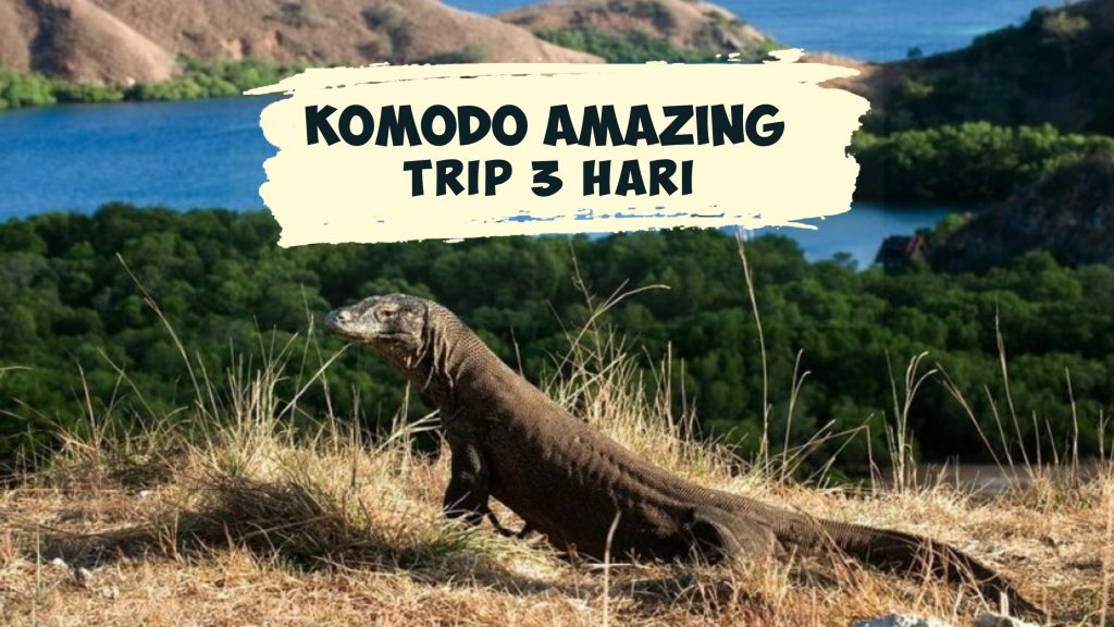 Komodo Amazing Tour 3 Hari